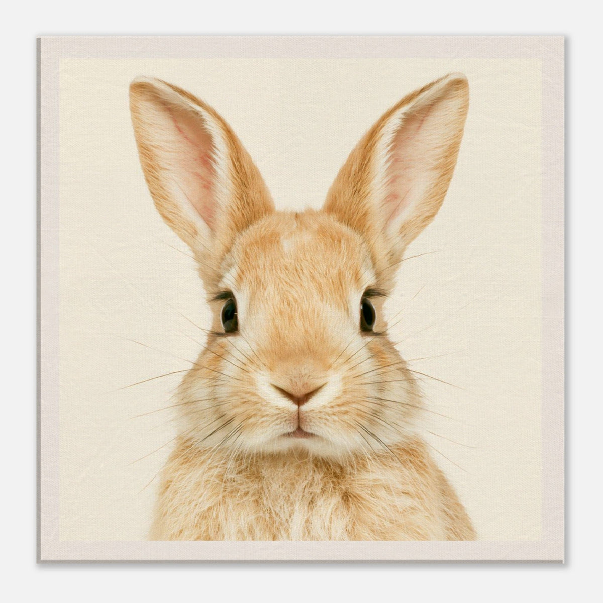 Adorable Bunny Canvas Wall Art - KIDSROOM WALL ART