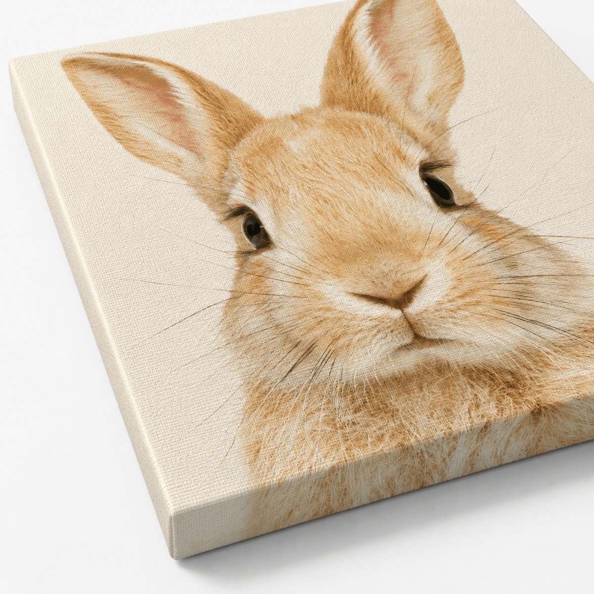 Adorable Bunny Canvas Wall Art - KIDSROOM WALL ART
