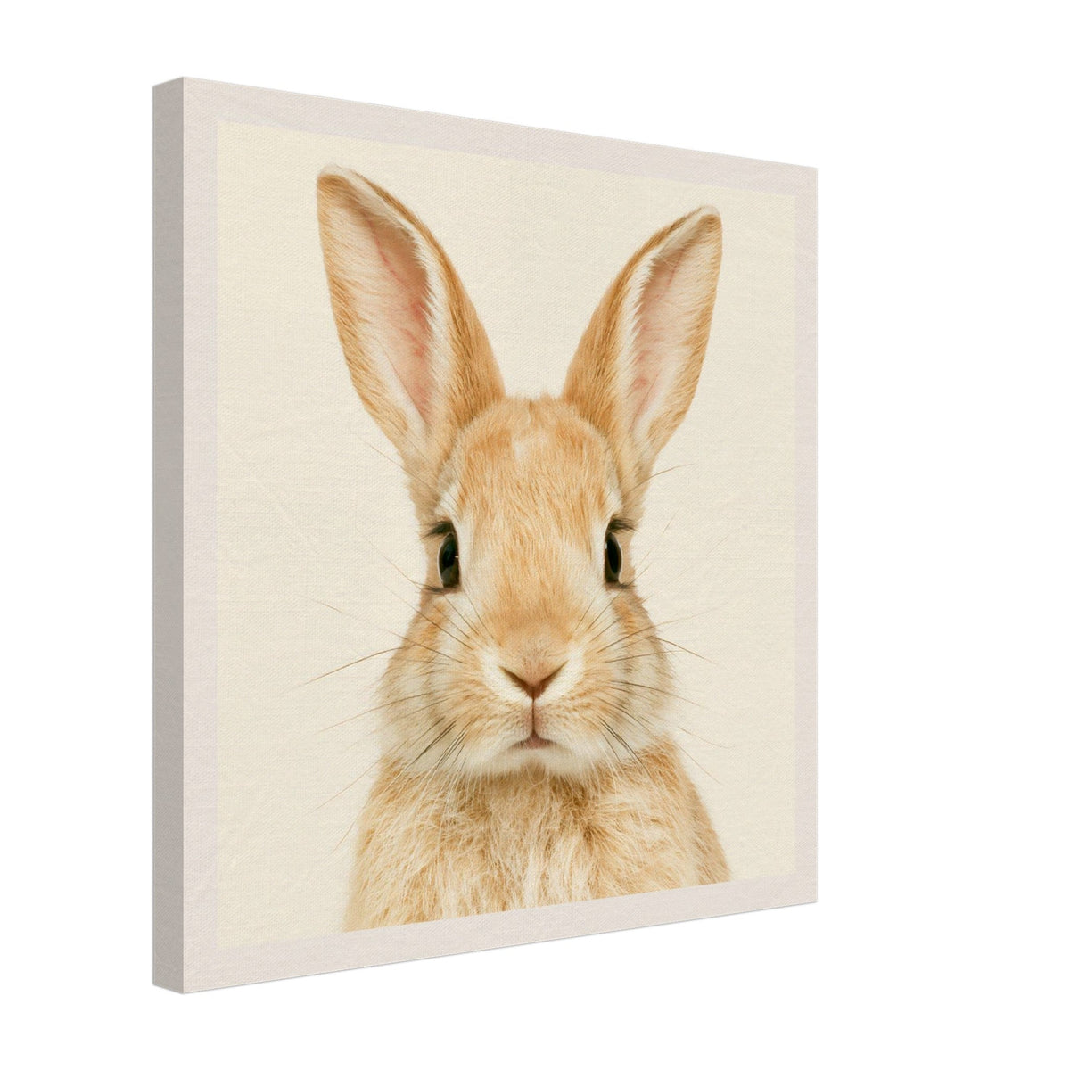 Adorable Bunny Canvas Wall Art - KIDSROOM WALL ART