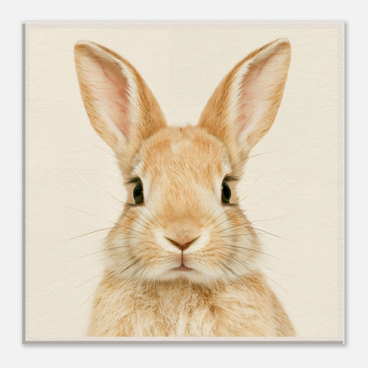 Adorable Bunny Canvas Wall Art - KIDSROOM WALL ART