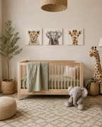 Gentle Safari Trio