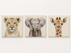 Gentle Safari Trio